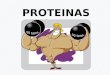Proteinas    natalia quintero