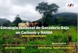 Experiencia en la formulación e implementación del NAMA Ganadero en Costa Rica