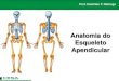 Aula 06   radiologia - anatomia do esqueleto apendicular - tarso, metatarsos e falanges