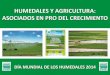 HUMEDALES Y AGRICULTURA: ASOCIADOS EN PRO DEL 