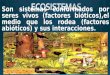 Estructura de los ecosistemas. Lic Javier Cucaita