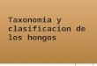 Clase 5 taxonomia y  clasificacion de los hongos 2015