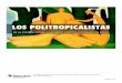 Los Politropicalistas - De la Contracultura a Las Redes Político-Culturales en Brasil