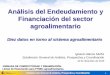 Análisis del endeudamiento y financiación del sector agroalimentario