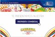 Propuesta Comercial Carnaval de Barranquilla 2017