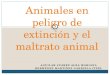 Animales en-peligro-de-extincin-y-el-maltrato-160501220721
