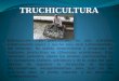 Truchicultura jarro-mayorga-1