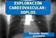 Exploración cardiovascular: soplos