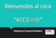 CIRCO ARCO IRIS -Inteligencia Corporal-Kinestésica-