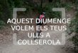 Un video de crowdsourcing para Collserola
