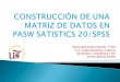 CONSTRUCCIÓN DE UNA MATRIZ DE DATOS EN PASW SATISTICS 20/SPSS