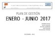 Plan de gestión  enero  junio  2017
