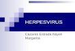 HERPES VIRUS MICROBILOGIA Y PARASITOLOGIA