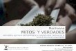 Conferencia "Marihuana: mitos y verdades"