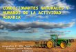 Condicionantes naturales y humanos de la actividad agraria en España
