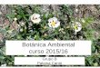 Botánica Ambiental curso 2015/16
