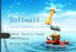 Software 1995-hasta la actualidad