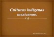 Culturas indígenas mexicanas español
