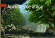 Animales de africa terminado