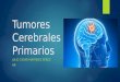 Tumores cerebrales-primarios
