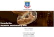 Fecundación,  Desarrollo embrionario y fetal