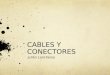 Cables y Conectores