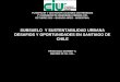 Subsuelo y Sustentabilidad Urbana: Desafíos y Oportunidades en Santiago de Chile - Mag. Arq. Francisco Schmidt A