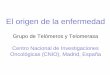 El origen de la enfermedad- Dra. Maria Blasco Madrid - April 2014