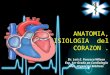 Anatomia y fisiologia del corazón