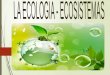 ecología ecosistema