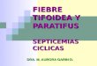 Fiebre tifoidea-y-paratifoidea