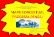 Mapa conceptual procesal penal