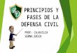 Principios y fases de la defensa civil