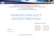 Presentacion Ingresos Públicos y Gestión Tributaria