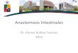 Anastomosis intestinales
