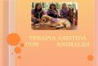 Terapia asistida con           animales point 22