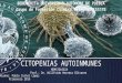 Citopenias autoinmunologicas: anemia hemolitica autoinmune y neutropenia autoinme
