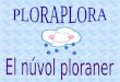 Conte PloraPlora