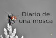 Diario de una mosca 2