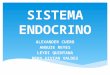 Sistema Endocrino y Dermatològico