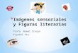 Imágenes sensoriales y figuras literarios.pptx 5to grado