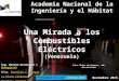 Combustibles Electricos (anih)