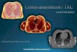 Cortes anatomicos / TAC