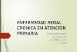 (2016-10-18)Enfermedad renal crónica (PPT)