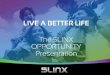 5 linx opportunity-presentation-en-1