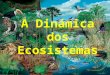 Tema 12. a dinámica dos ecosistemas
