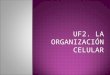 UF2: la organización celular