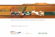 Mecanismo inversion ambiental Belice - SudAustral