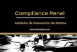Compliance Penal: Modelos de Prevención de Delitos