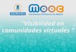 Visibilidad en comunidades virtuales